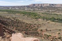 a view of a valley and a large cliff on the horizon with several trees growing and bushes in the foreground