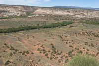 a view of a valley and a large cliff on the horizon with several trees growing and bushes in the foreground