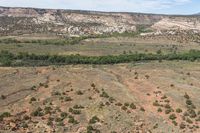 a view of a valley and a large cliff on the horizon with several trees growing and bushes in the foreground
