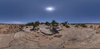 a wide shot of an arid landscape with rocks and plants with sun over the sky