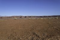 a view of the desert with horses in it, and mountains in the distance and a dirt road