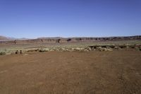 a view of the desert with horses in it, and mountains in the distance and a dirt road