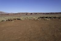 a view of the desert with horses in it, and mountains in the distance and a dirt road