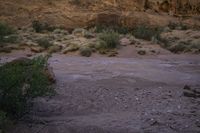 an open desert area with a dirt and brush area with many bushes and rocks on it