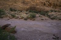 an open desert area with a dirt and brush area with many bushes and rocks on it