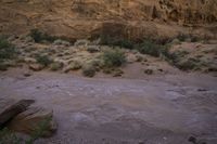 an open desert area with a dirt and brush area with many bushes and rocks on it