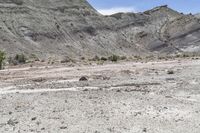 Desert Landscape in Utah: Offroad Tracks 001