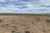 a dry field with rocks and plants on it's ground and sky behind it