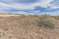 a desert area is shown under blue skies with wispy grass and dead dirt