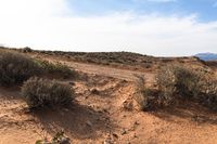 the desert landscape shows brown brush and shrubs in between blue skies and mountains in the distance