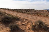 the desert landscape shows brown brush and shrubs in between blue skies and mountains in the distance