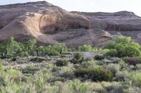 the trees in front of the mountain are green and the vegetation is very low on one side