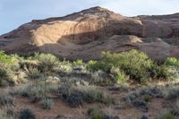 the trees in front of the mountain are green and the vegetation is very low on one side