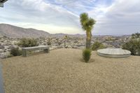 large desert landscape with two benches and a lone tree in the foreground under an overcast sky