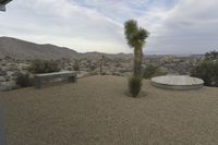 large desert landscape with two benches and a lone tree in the foreground under an overcast sky