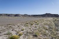 a desert with sand and rocks in the background and vegetation near the road on either side