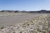 a desert with sand and rocks in the background and vegetation near the road on either side