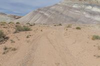 a dirt road leading through the middle of a desert plain, with mountains in the distance