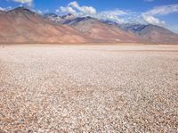 a desert area has rocks, gravel and mountains in the distance with a bird on the horizon