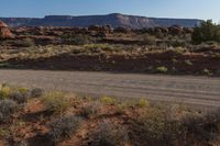 dirt road in desert area with mountain in background and trees in foreground area to left