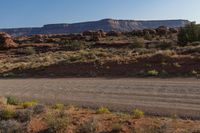 dirt road in desert area with mountain in background and trees in foreground area to left