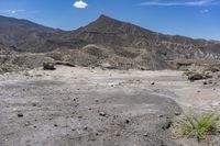 the barren terrain is full of dirt and some plants on top of it while the mountains are in the background