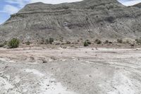 a white van is parked on the desert near some mountains and brushbrushes and trees