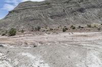 a white van is parked on the desert near some mountains and brushbrushes and trees