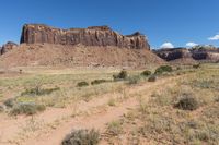 Desert Nature: Off Road Track in the USA