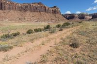 Desert Nature: Off Road Track in the USA