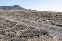 Off-Roading Adventure: Exploring the Rugged Desert Terrain