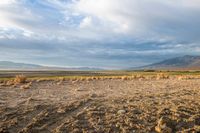 Desert Road: A Spacious Asphalt Road in California