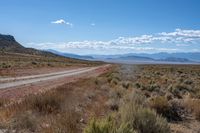 dirt road in the desert with mountains behind it in the background, with a road surrounded by weeds and brush