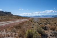 dirt road in the desert with mountains behind it in the background, with a road surrounded by weeds and brush