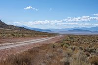 dirt road in the desert with mountains behind it in the background, with a road surrounded by weeds and brush