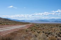 dirt road in the desert with mountains behind it in the background, with a road surrounded by weeds and brush