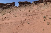 Desert Road: A Day Under a Clear Sky