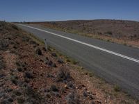 an empty open road in the desert with a dead tree at the end and no car passing