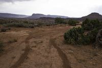 Desert Road with Low Mountain Landscape