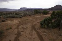 Desert Road with Low Mountain Landscape