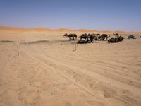 Desert Road in Marocco: Under a Clear Sky