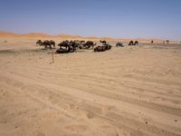 Desert Road in Marocco: Under a Clear Sky