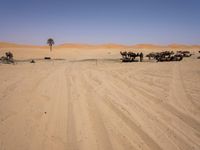 Desert Road in Marocco: Under a Clear Sky