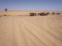 Desert Road in Marocco: Under a Clear Sky