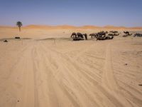 Desert Road in Marocco: Under a Clear Sky