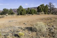 a dirt road with sparse brush on both sides and mountains behind it in the background