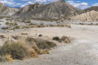 there is a sign posted on the dirt path that says desert road to nowhere that's where i leave the car