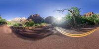 a picture of a road and trees in a desert landscape, with a sun going down over them