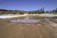 a large puddle in the middle of a dirt road in the desert, with green bushes behind it