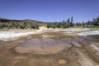 a large puddle in the middle of a dirt road in the desert, with green bushes behind it